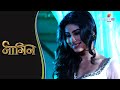 Naagin Throwback | Ritvik And Shivanya Confess Their Love