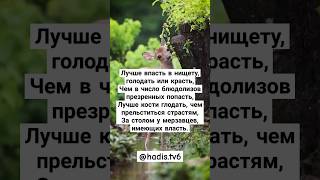 Лучше впасть и голодать #Аллах#пророкМухаммад#хадис #Рамазан#образование#пост#исламскиеуроки