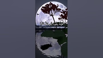 #القارئ إبراهيم إدريس