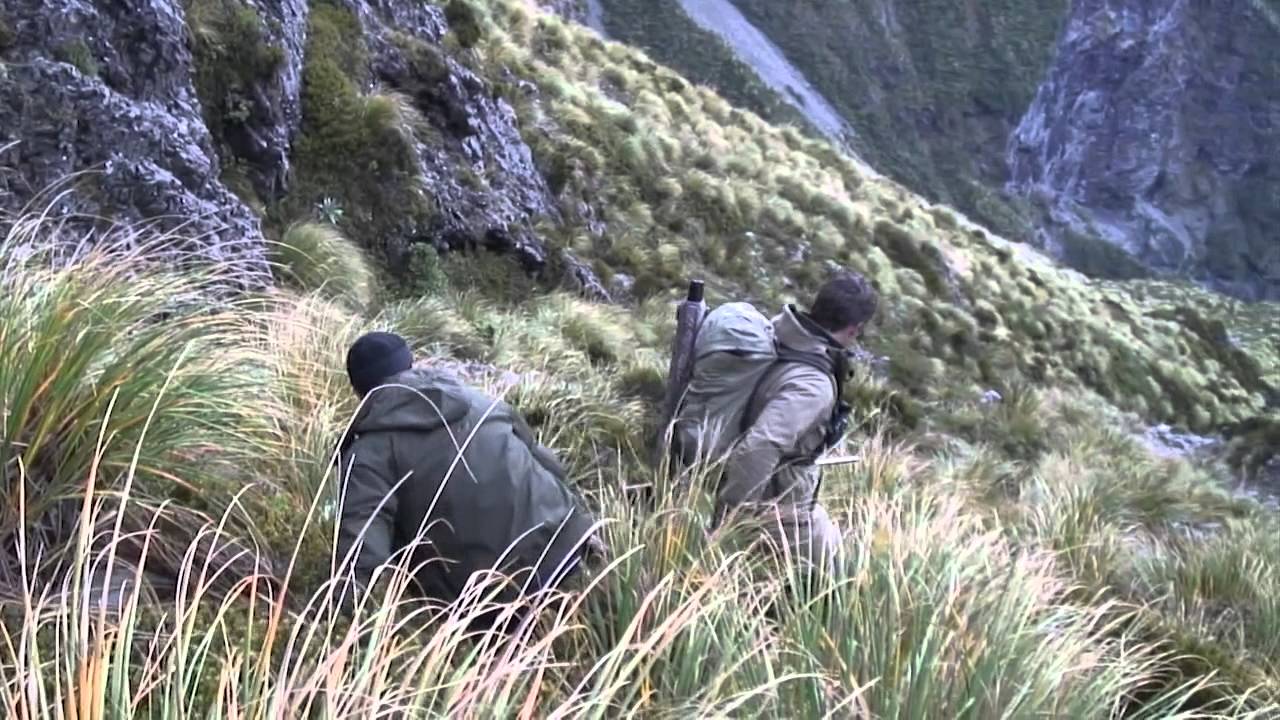 Amazing New Zealand Helicopter-Assisted Chamois Hunt | High Peak