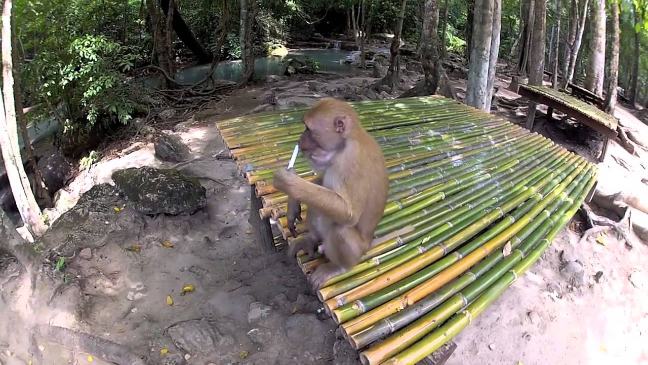 Documentary Trailer Bboy Marcio 2014