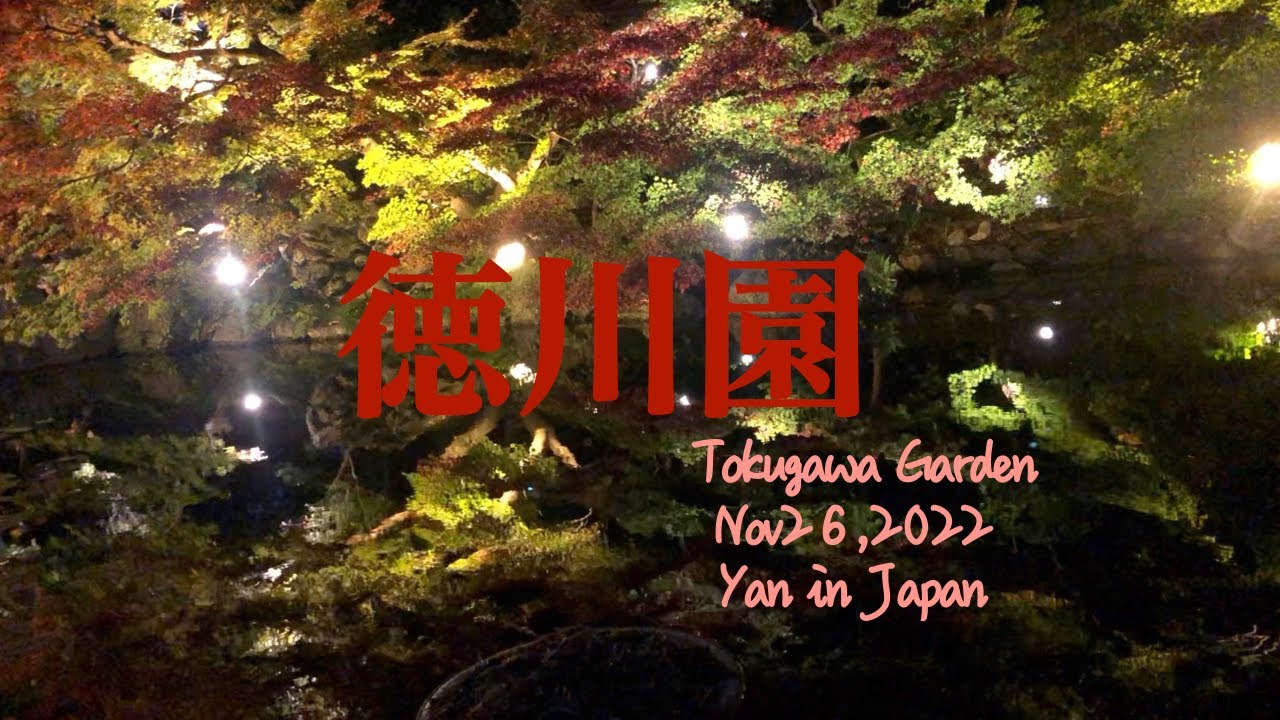 徳川園ライトアップ 紅葉 日本庭園tokugawa Garden Nov26 22 Traveljapan 日本vlog Nagoya 愛知観光 名古屋観光 Youtube