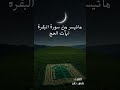 سورة البقرة آيات الحج 