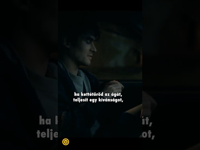 Videó borítókép