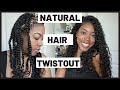TWIST OUT TUTORIAL ON NATURAL HAIR | STEP BY STEP USING MIELLE ORGANICS! | ZENESE ASHLEY