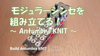 Antumbra KNIT - Eurorack Module on ModularGrid