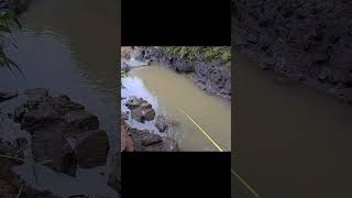 memancing memancing kehidupanmemancing