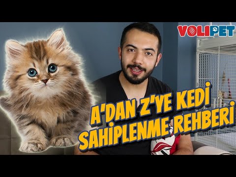 Video: Feline Lösemi, Feline İmmün Yetmezlik Virüsü ve Heartworm Testi