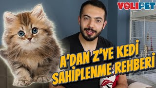 KEDİ SAHİPLECEKLERİN BİLMESİ GEREKENLER (Kedi Bakımı, Mama, Tüy Dökmesi, Kedi Aşıları)