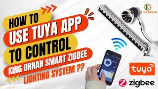 Tuya Zigbee Smart light(smart magnetic track light, module downlight, linear grille light) Setup