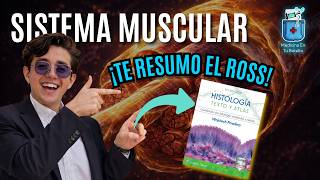 MUSCLE TISSUE Complete | Ross & Wheater's Summary