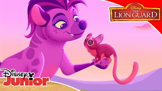 🎶 Harmonised Hyena Songs! | The Lion Guard | Disney Kids