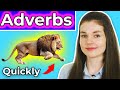 Understanding Adverbs
