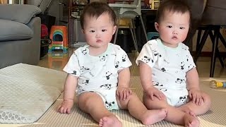 Dad Taking Care of Twins While Mom Is Working From Home |  Twin Baby Care