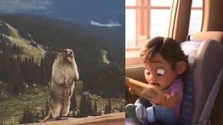 Pancake Milkshake Meme And Animal Screaming