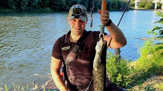 Varalicarenje Soma Na Zapadnoj Moravi - Trstenik