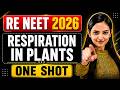 🔥RE-NEET &amp; AIIMS 2026 I Respiration In Plants- One Shot I Day - 08 I Shivani mam
