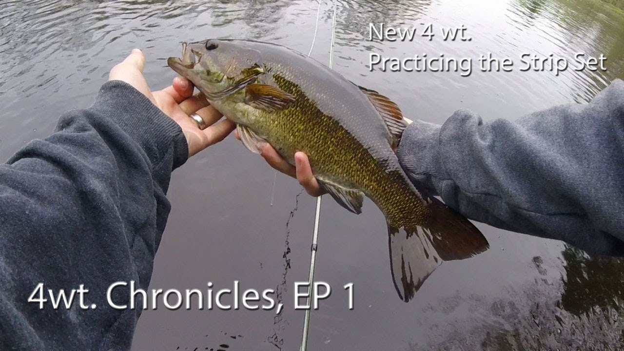 Fly Fishing: 4wt Chronicles, EP 1- Breaking in the New 4 wt, and Practicing  the Strip Set.