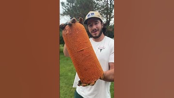 11LB Smoked Bologna Log