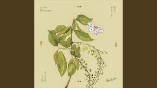 Download Lagu Lofi Chillzone MP3