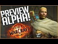 Preview de lalpha the war within  la prochain extension de world of warcraft 