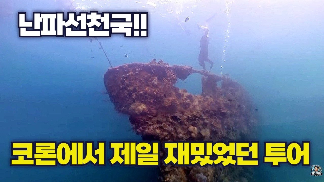 팔라완 코론5]  몽키D루피가 아닌 투어D 리프앤렉(Reef & Wreck) 투어의 모든것