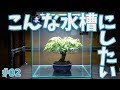 【超初心者アクアリウム】#02 流木のアク抜き＆接着組み立てに初挑戦!!【水草メイン】