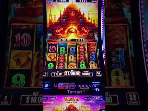 Sunland Park Race 2 04/02/2016