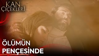 Bu Sevda Nasıl Başladı? #24 - Kan Çiçekleri