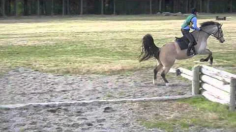 Diva XC Training in Taupo with Margaret Lees