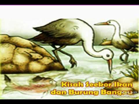 Kisah Dongeng Ikan Dan Burung 