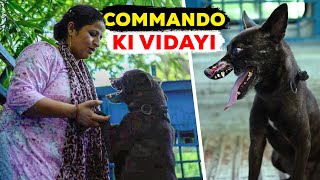 Commando, the dog with half face, but full feel good recovery. #87 by Peepal Farm 74,413 views 8 months ago 11 minutes, 11 seconds