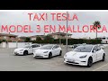 Tesla Model 3 Taxi en Palma. Entrevistamos a sus propietarias 2