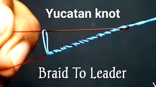 fishing knots : Yucatan knot braided to fluorocarbon leader