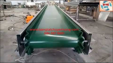 Băng Tải, Băng Tải Tai Bèo, Băng Tải PVC.