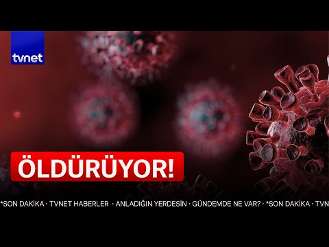 Strep A belirtileri nelerdir? Strep A virüsü nasıl bulaşır?