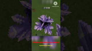 Minecraft crazy hack build part  5.#minecraft #mincrafthacks #shorts