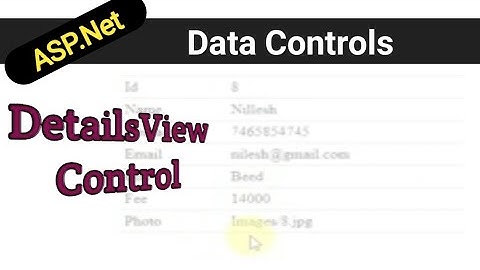 ASP.Net DetailsView Control | Databinding controls in asp.net | SqlDataSource in hindi
