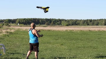 Blade Theory Type W team edition