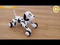 Интерактивная собака-робот с дистанционным управлением, Bluesea (Блуси)