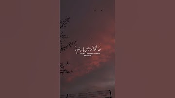 سورة المائدة | ياسر الدوسري