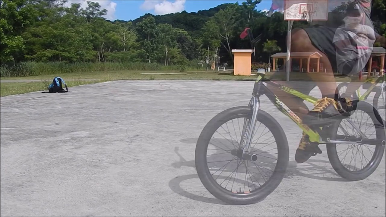 haro flatland master