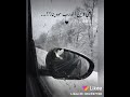 تعب المشوار تعب المشوار