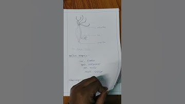 Course 1.2.7A / Demonstration of Science Experiment / Method life science/ B.Ed Practicum 2nd sem