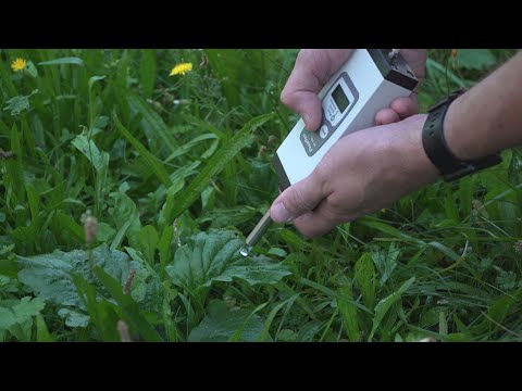 Video: Takové Různé Rostliny