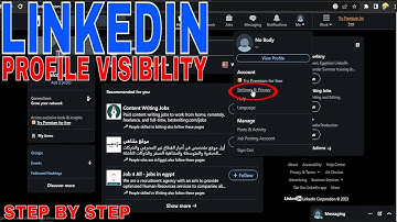 ✅  How To Control Profile Visibility Outside Of LinkedIn 🔴