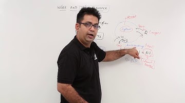 Work & Heat Transfer