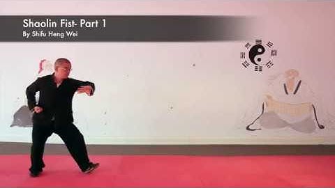 Shaolin First (Part 1) - Shifu Heng Wei