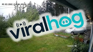 Pedestrian Narrowly Avoids Crash at Portland Intersection || ViralHog