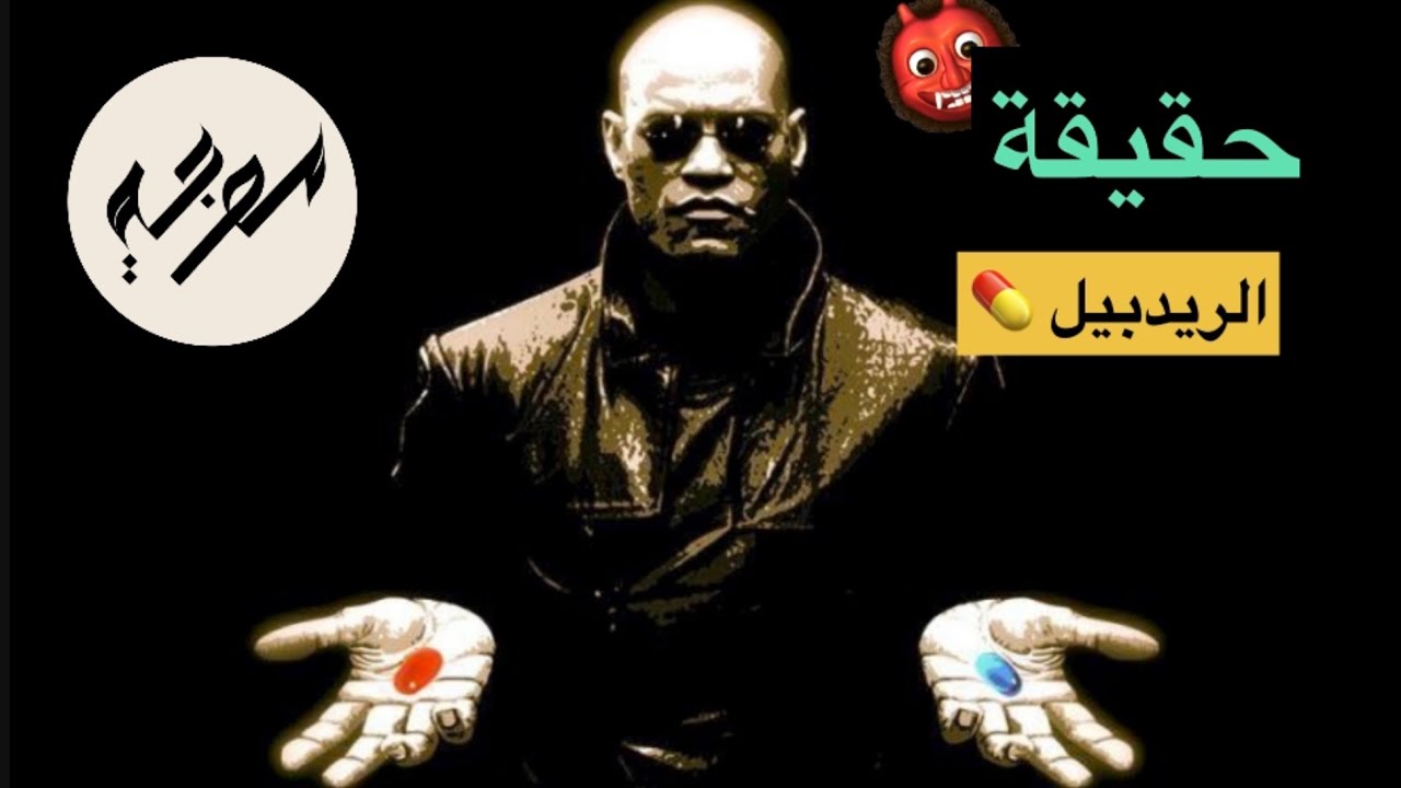 كشف ستار الريدبيل | الرد على موجة